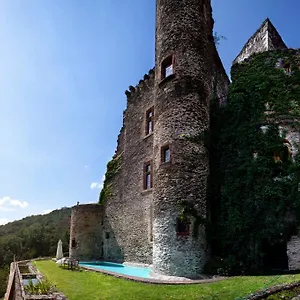 D'hotes Au Chateau De Belcastel Bed and breakfast